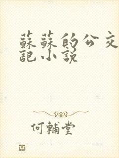 苏苏的公交车日记小说