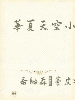 华夏天空小说网