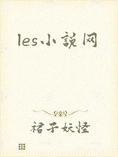 les小说网