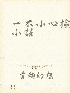 一不小心捡到爱小说