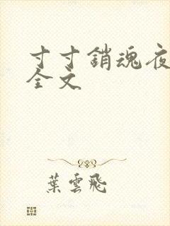 寸寸销魂夜春光全文