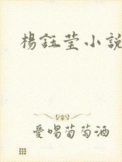 杨钰莹小说阅读