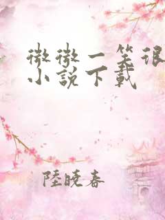 微微一笑很倾城小说下载