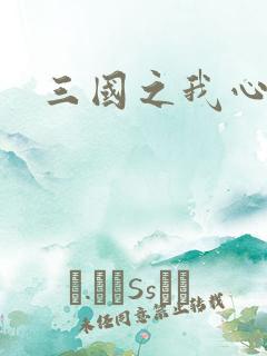 三国之我心狂想