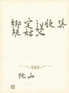 绑定jy收集系统姑父