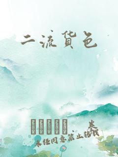二流货色