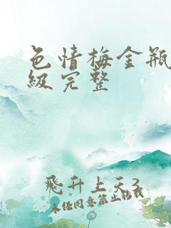 色情梅金瓶2三级完整