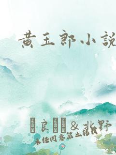 黄玉郎小说