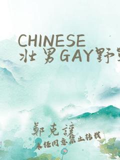 CHINESE壮男GAY野战强迫TUBE