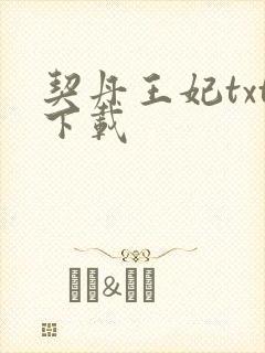 契丹王妃txt下载