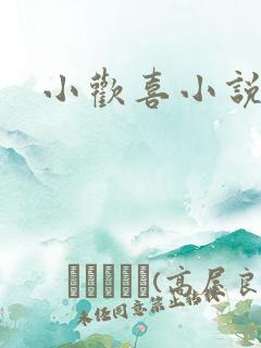 小欢喜小说