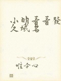 小明看看发布永久域名