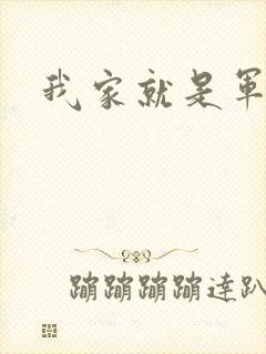 我家就是军火铺