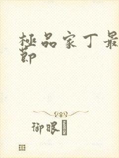 极品家丁最新章节