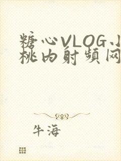 糖心VLOG小桃内射频网站
