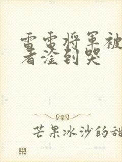 雷电将军被旅行者淦到哭