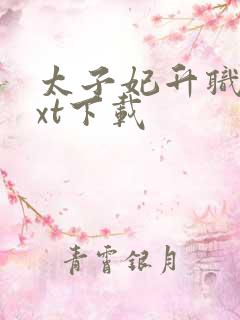 太子妃升职记txt下载