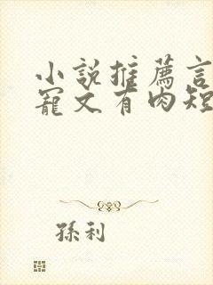 小说推荐言情甜宠文有肉短篇完结