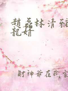 赵磊林清雅上门龙婿
