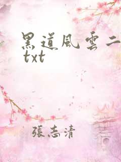 黑道风云二十年 txt