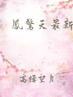 凤惊天最新章节