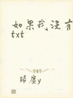 如果我没有爱过txt