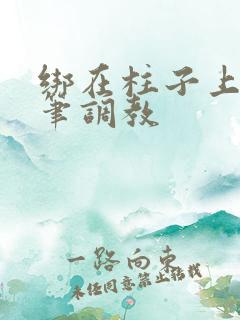 绑在柱子上用毛笔调教