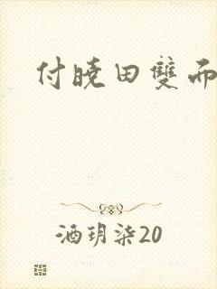 付晓田双面间谍