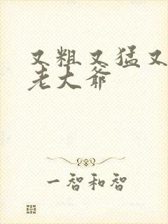 又粗又猛又大爽老大爷