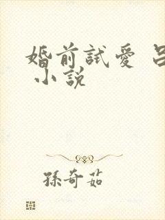婚前试爱 吕颜 小说