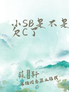 小SB是不是又欠C了