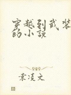 穿越到武装少女的小说