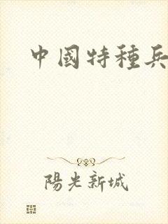 中国特种兵小说