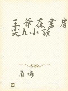 王爷在书房含乳尖h小说