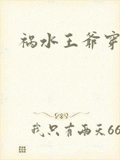 祸水王爷穿越妃