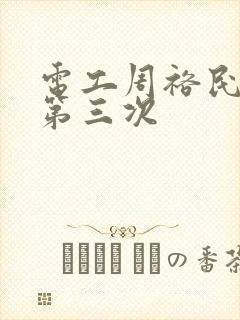 电工周裕民刘芳第三次