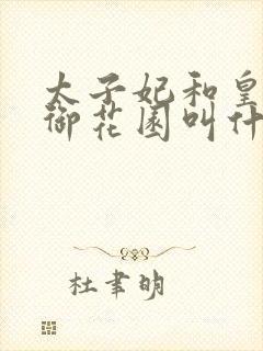 太子妃和皇帝在御花园叫什么小说