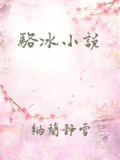 骆冰小说