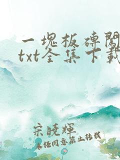 一块板砖闯仙界txt全集下载