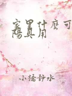 家里什么可以当阳具用