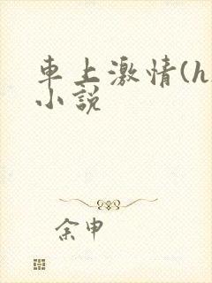 车上激情(h)小说