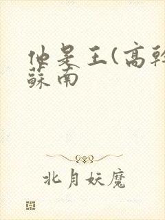 他是王(高干)苏南