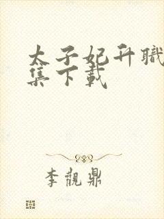 太子妃升职记全集下载