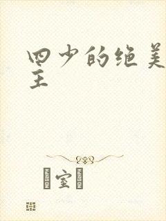 四少的绝美宠公主