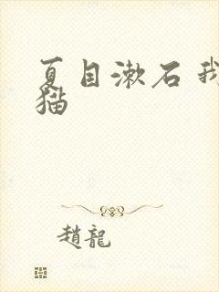 夏目漱石 我是猫