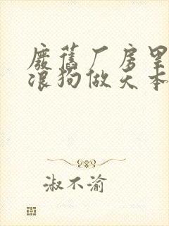 废旧厂房里和流浪狗做天本