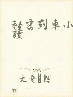 秘密列车小说阅读