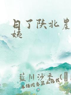 日了陕北农村婆姨