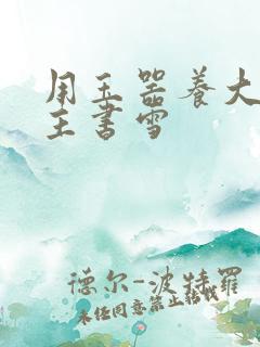 用玉器养大的公主书雪