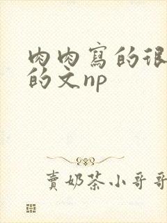 肉肉写的很细致的文np